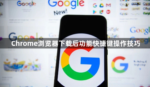 Chrome浏览器下载后功能快捷键操作技巧1