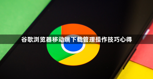 谷歌浏览器移动端下载管理操作技巧心得1