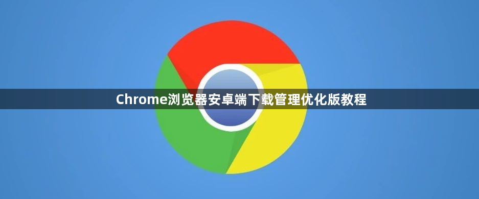 Chrome浏览器安卓端下载管理优化版教程1